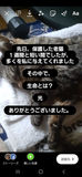 What is life? It's the light　　　生命とは？　　光