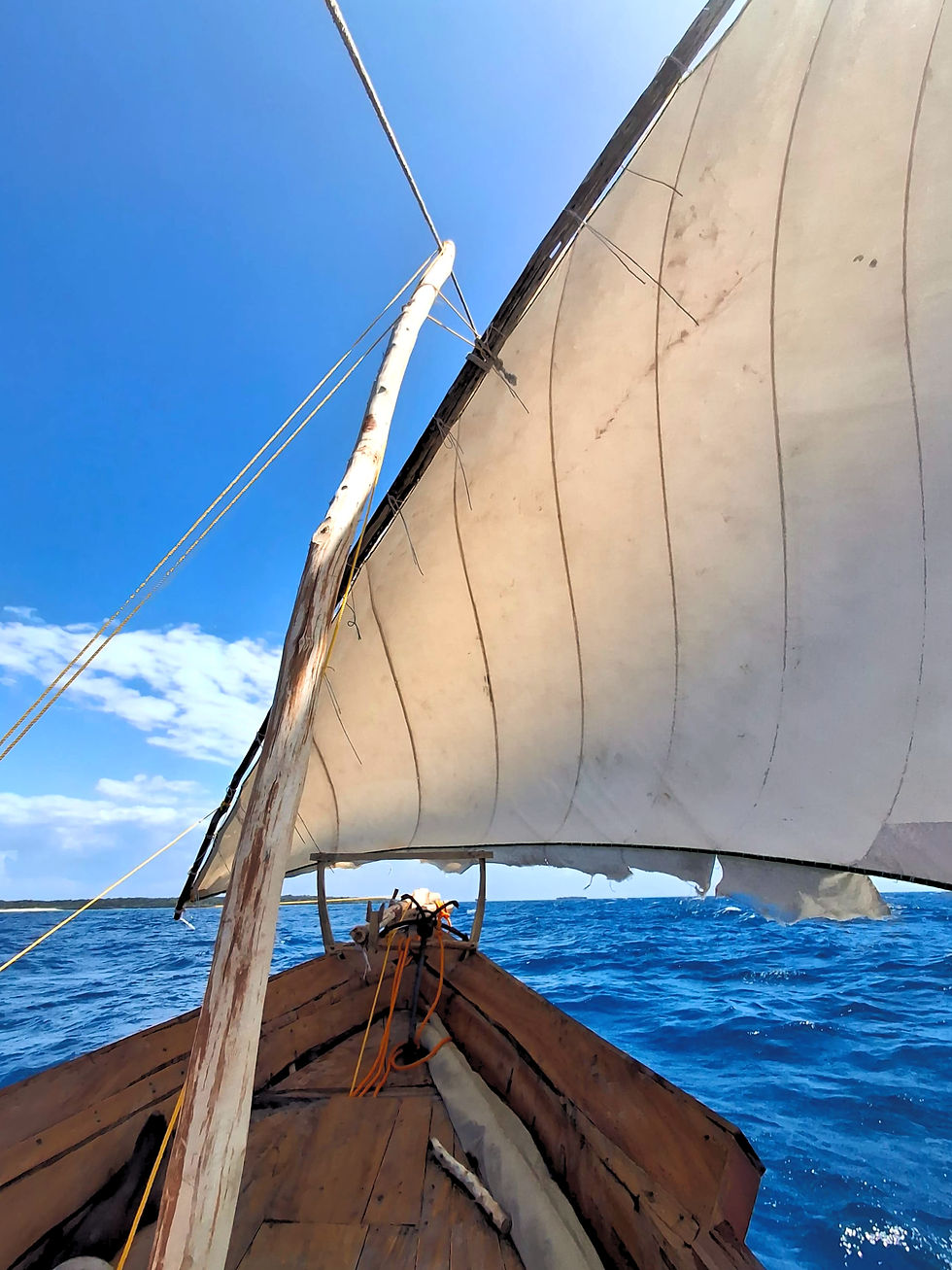 WhatsApp Image 2025-08-03 at 11.29_edited.jpg