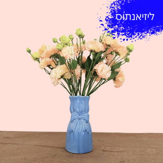 להזמנה דברו איתנו בצ׳אט