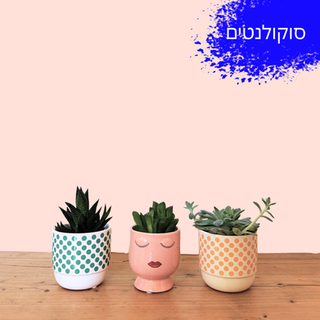 להזמנה דברו איתנו בצ׳אט