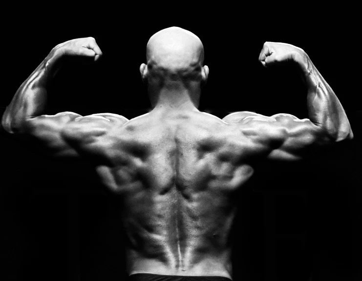 Home Restoration Fitness