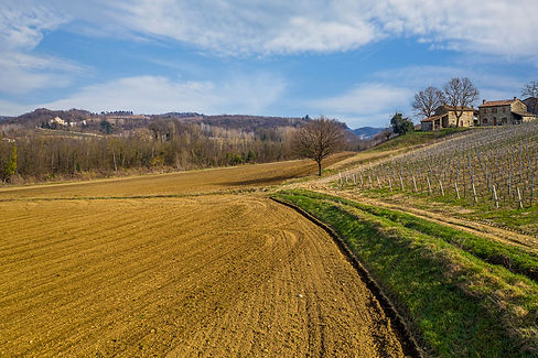 Strada di campagna tra campi e vigneti nei dintorni di Gavi, con Tenuta La Centuriona sullo sfondo