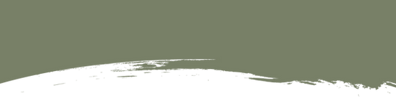 Frantoio Fin Cereda. Produzione e Vendita Olio Extra Vergine D'Oliva.