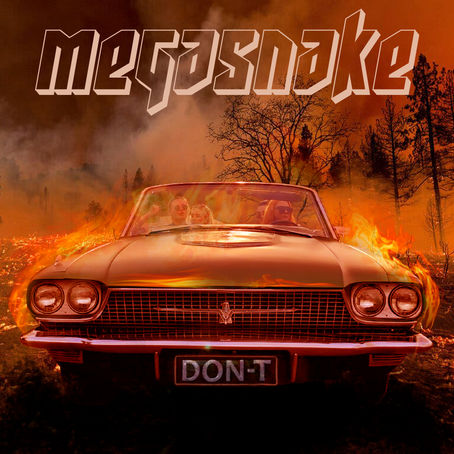 #VAGABONDZNEWS: MEGASNAKE RELEASED THE NEW SINGLE