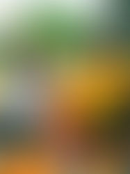 Anarbor: Release of New Single "Drugs", Background, and Songwriting Process