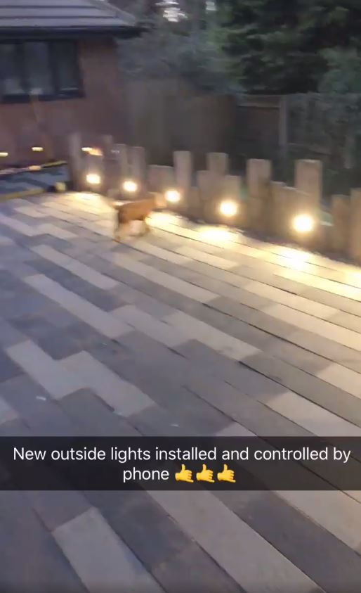 decking lights white