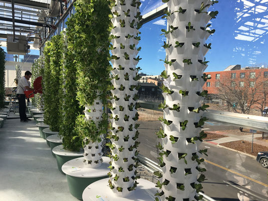 Vertical Farming