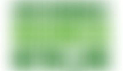 Logo with 'Sustainable Business Network' written in green on a white background.