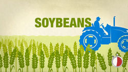 FUELS AMERICA . Style frame