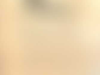 Meeting Report 7th June.