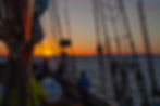 Fyrsafari OXELÖSUND onsdag 15 juli