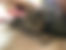kedi sahiplendirme ilanları içinde birinci resmin ikon boyutu
