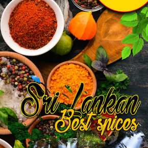 Suramina Sticker 2 copy.jpg