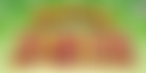 日テレ 行列のできる芸能人通販王決定戦で紹介されました!