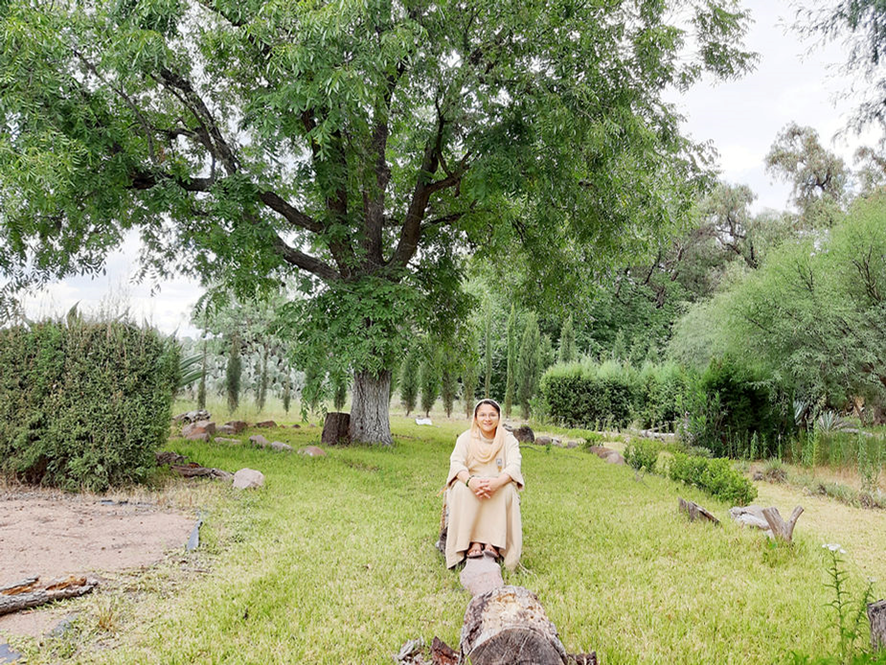  El tesoro en la morera