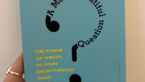Encourage the Search for Beautiful Questions