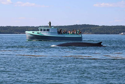 Eastport Windjammers.jpg