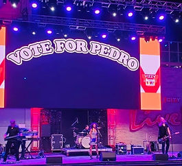 Vote For Pedro