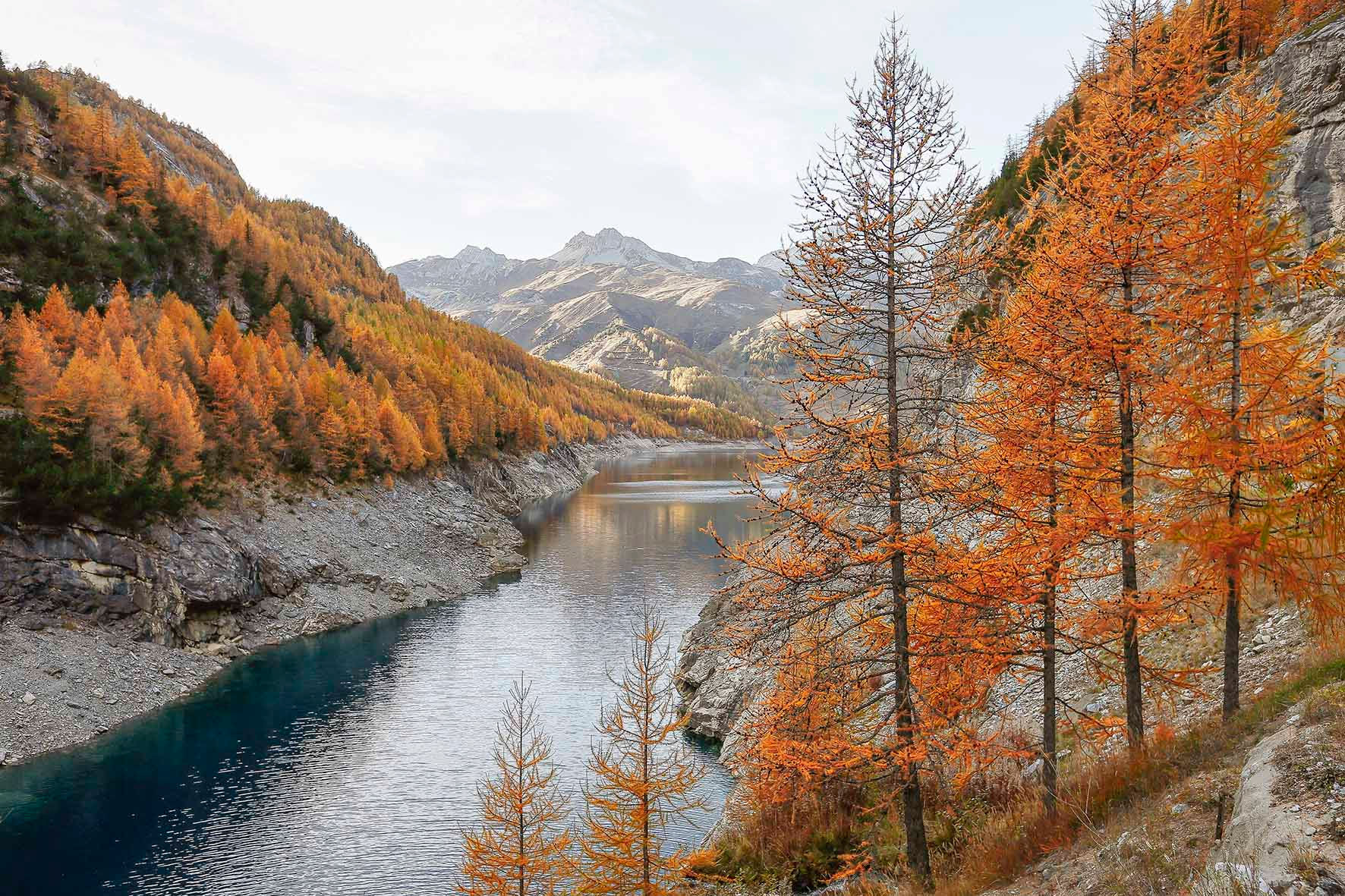 photographie de paysage d'automne - lac de montagne - arbre - tignes - isère