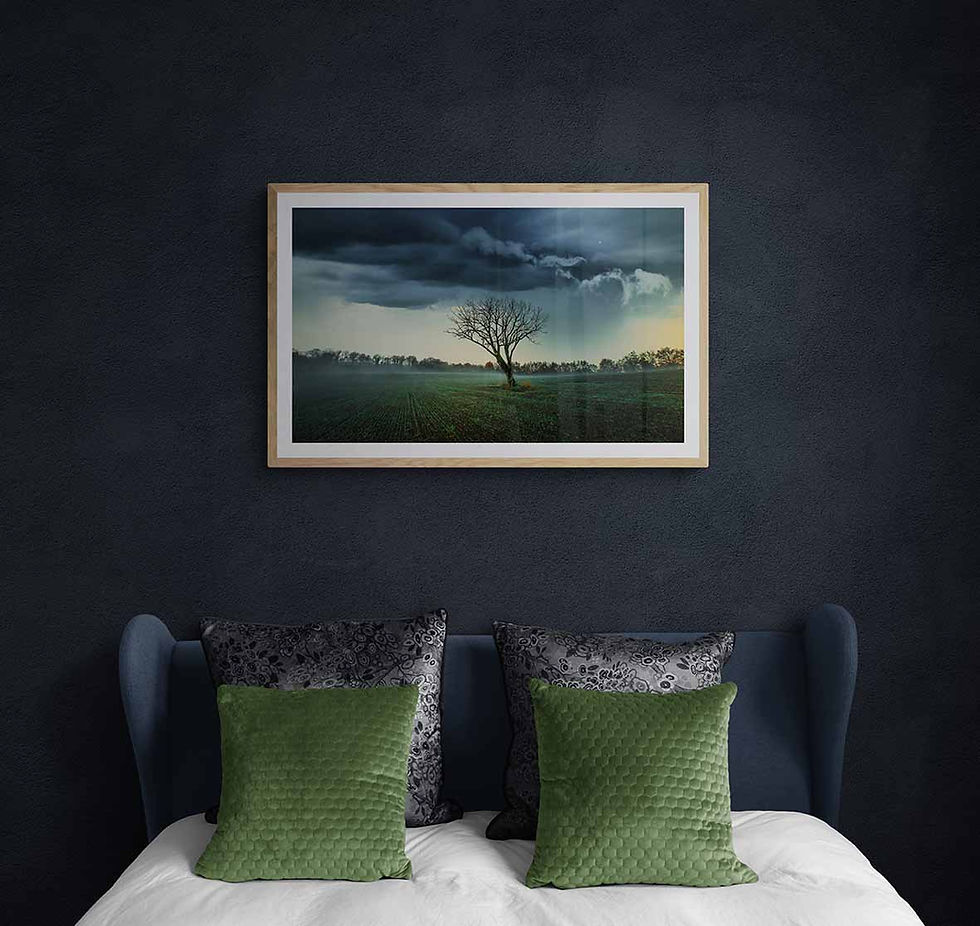 Le Solitaire - Photographie artistique - univers fantastique -  Photographie artistique professionnelle