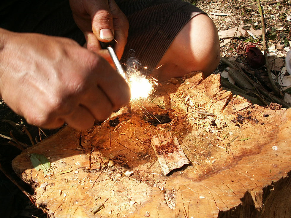 making fire using flint and steel and birch bark