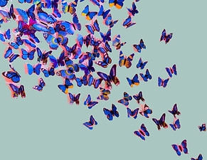 new website 18_edited_edited.jpg
