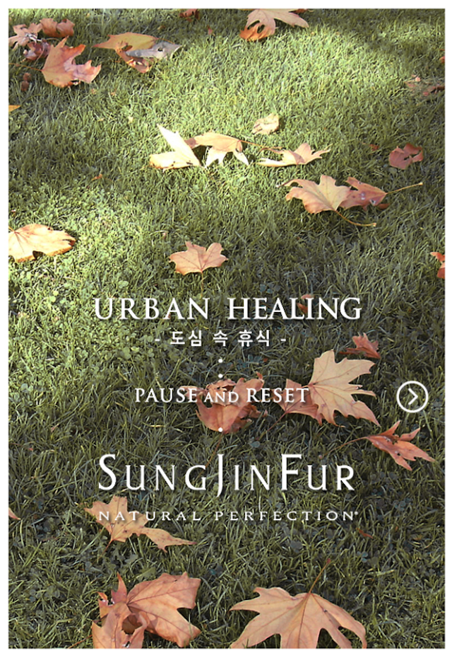 SUNGJINFUR