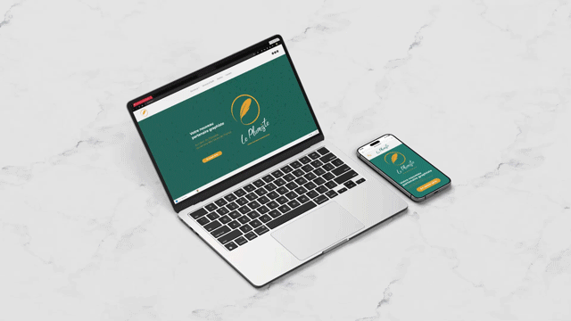 Création de Sites vitrine à Arras