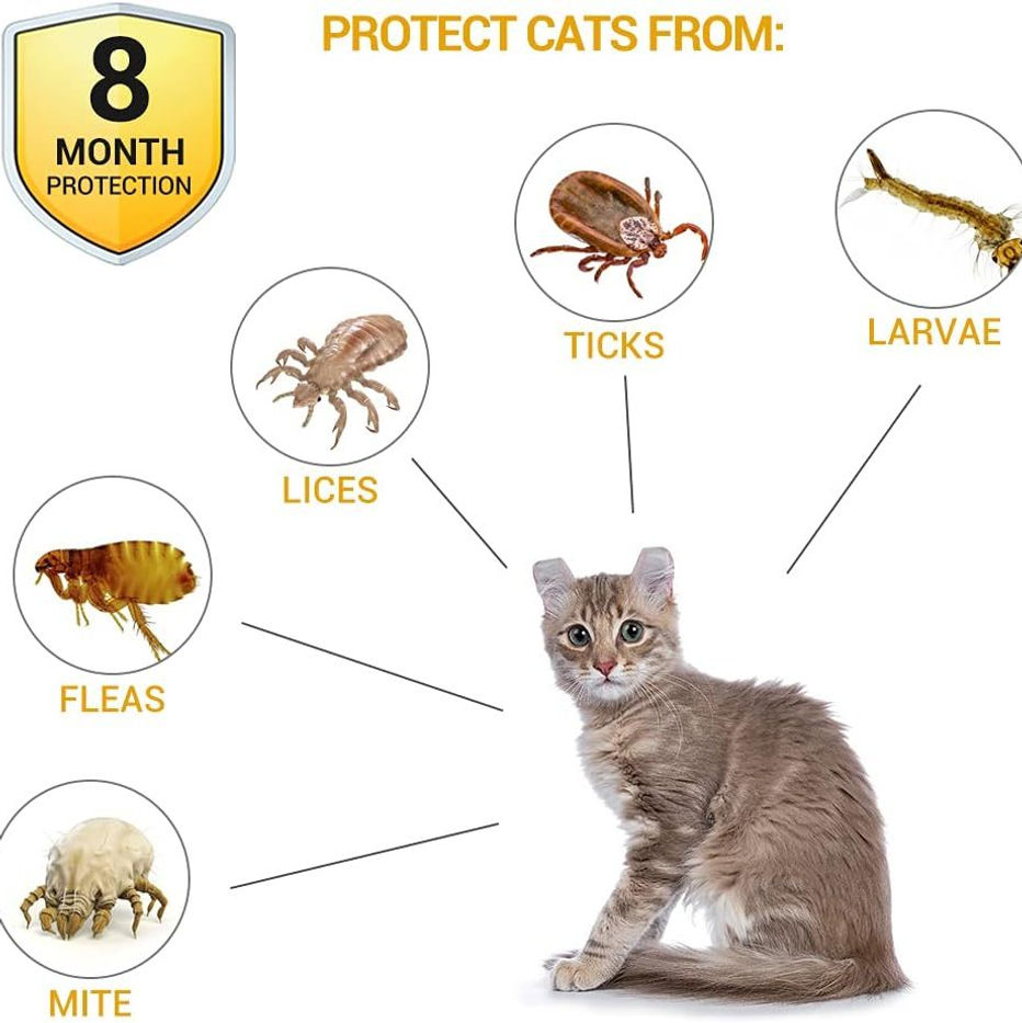 Thumbnail: 38cm Cat Flea Collar – Natural, Waterproof, 8-Month Protection