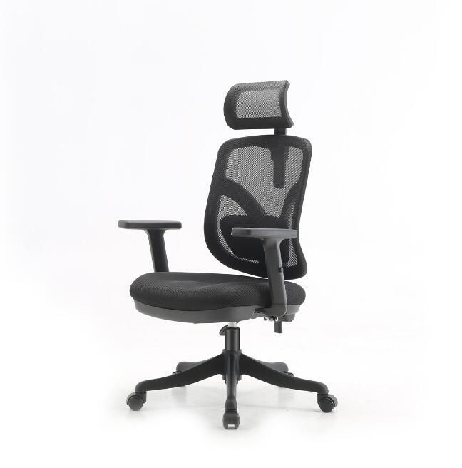 Ergonomic Office Chair with Armrest
