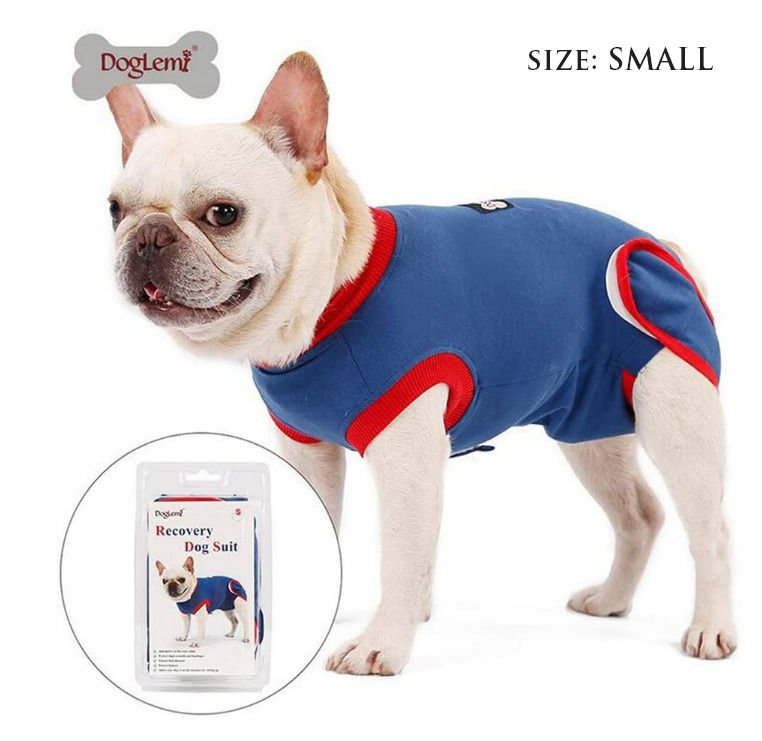 Thumbnail: Dog Recovery Suit – Small, Anti-Lick, Cotton, Cone Alternative, Blue