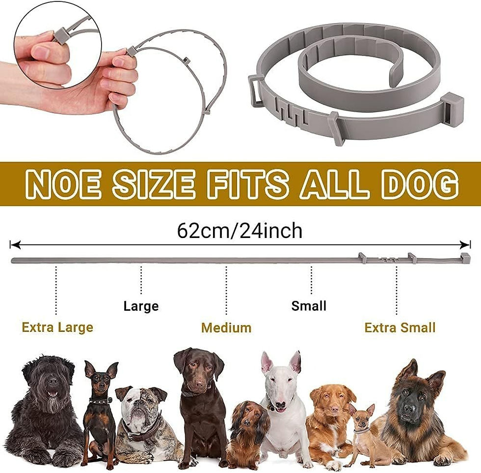 Thumbnail: 62cm Dog Flea Collar – Natural, Waterproof, 8-Month Protection