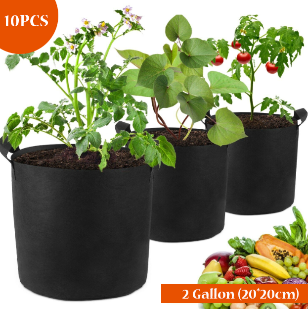 2 Gallons Plant Grow Bags Non-Woven Plant Growth Bag