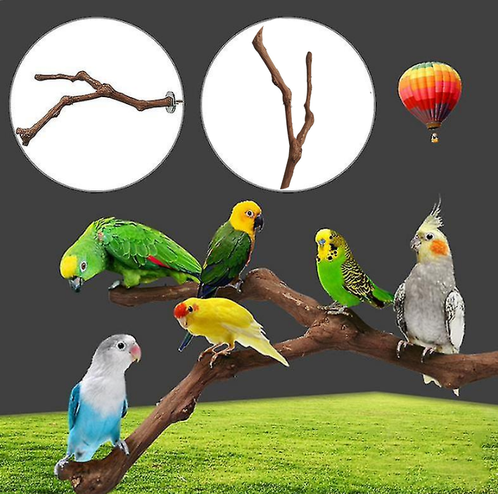 Bird Parrot Swing Chewing Toy Set