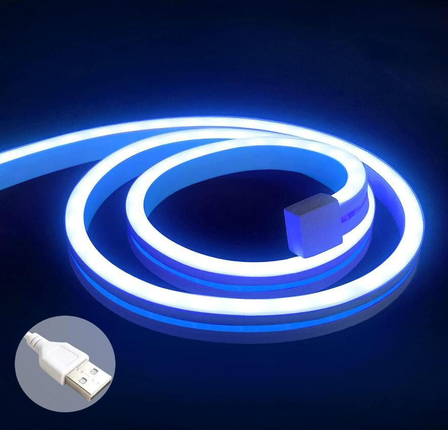 Neon Lights Strip Neon Rope Lights 6.6ft