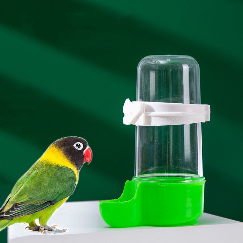 Automatic Parrot Bird Water Dispenser