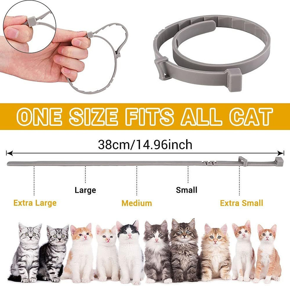 Thumbnail: Glow in The Dark Adjustable Pet Flea Collar x 1 pcs - 38cm for Cat