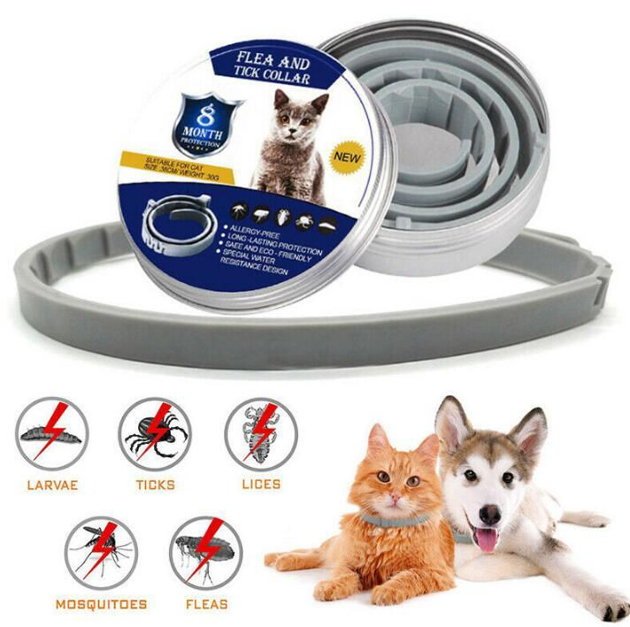 Cat Flea & Tick Collar 38cm, Adjustable Cat Flea & Tick Collar 38cm