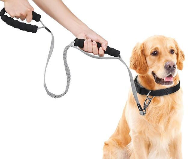 Anti Pull Training Dog Leash, Shock Absorbing Dog Leash