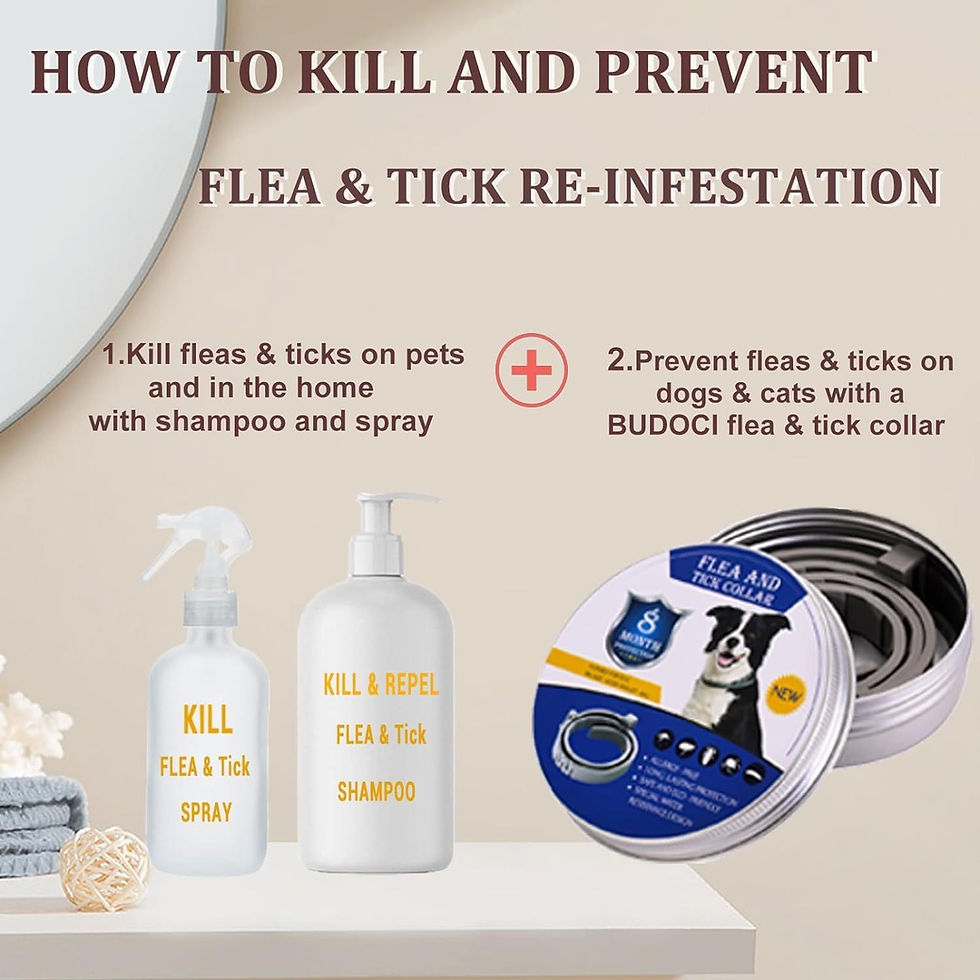 Thumbnail: 62cm Dog Flea Collar – Natural, Waterproof, 8-Month Protection