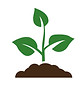 seedling-icon-growing-tree-green-agricul