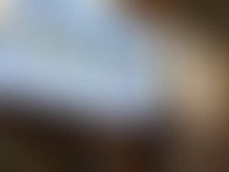 29 janvier - Vœux à Mornant