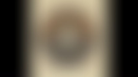 Latest happenings on the farm