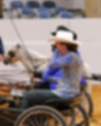 American Miniature Horse Association