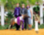 2020 World Grand Amateur Jr. Mare