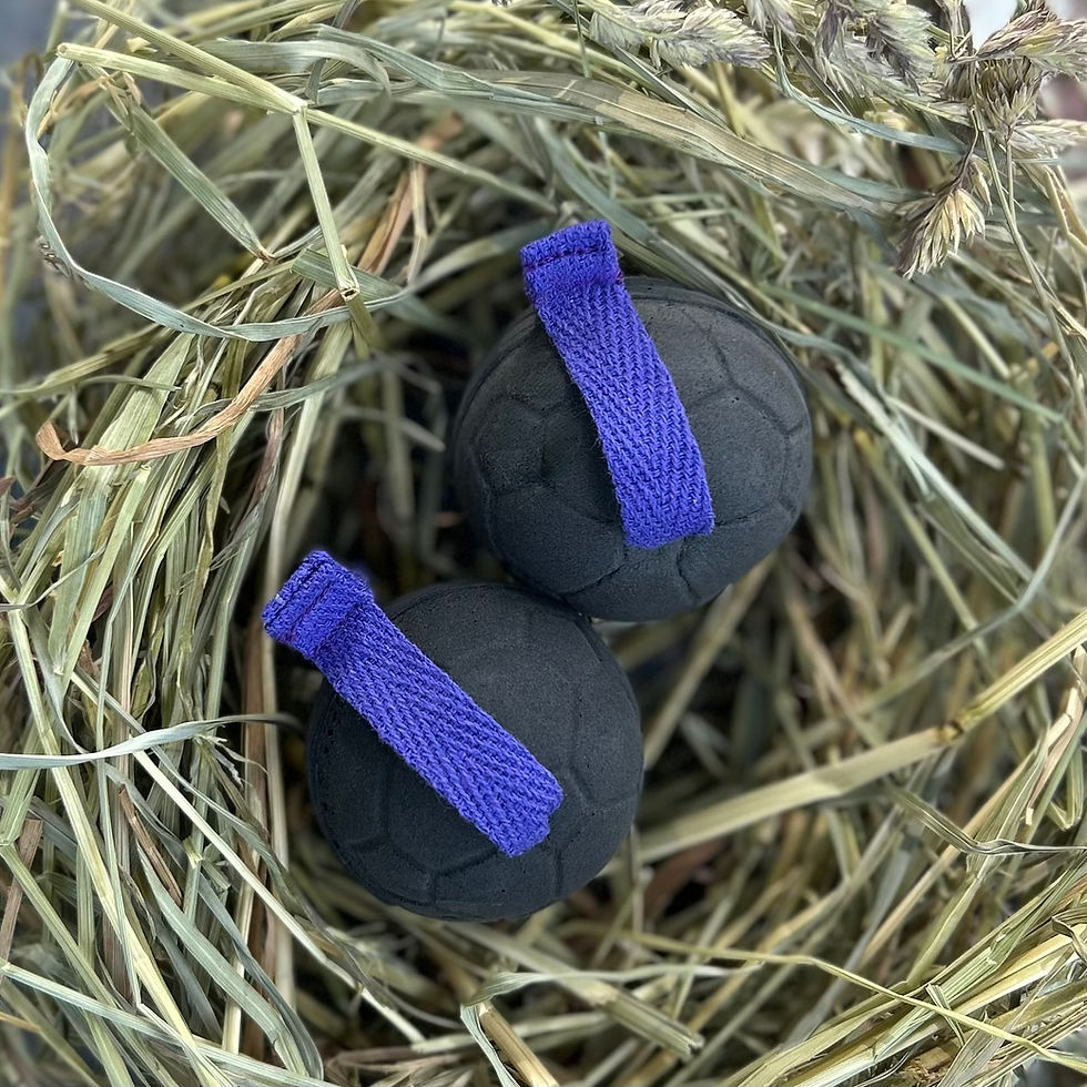 Thumbnail: Schooling Horse Earplugs