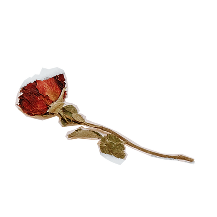 Quote Graphics TEMPLATE-2.png