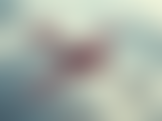 El Barón Rojo y el Legado del Piloto que Desafió al Cielo con su Triplano Escarlata