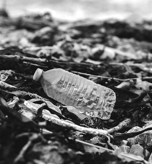 blue plastic bottle on brown dried leaves_edited.jpg