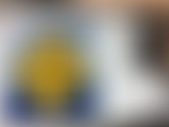 Executive Suite Leadership Dr. Trummer: Guest lecture with US Mil.Academy West Point, July 5th, 2021